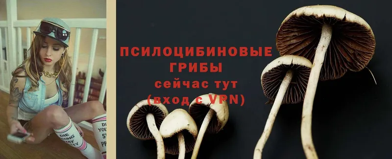 Галлюциногенные грибы Cubensis  купить наркотики сайты  Краснослободск 